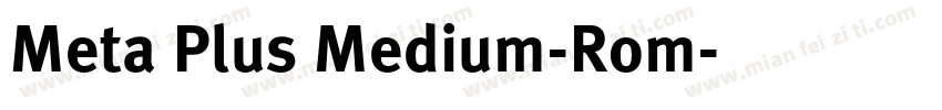 Meta Plus Medium-Rom字体转换
